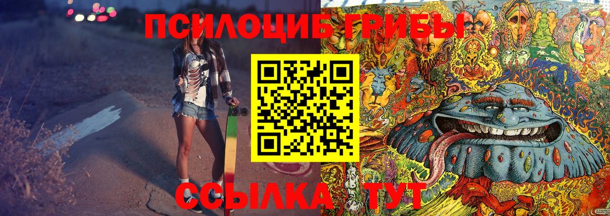 закладка  Ивантеевка  Галлюциногенные грибы ЛСД 